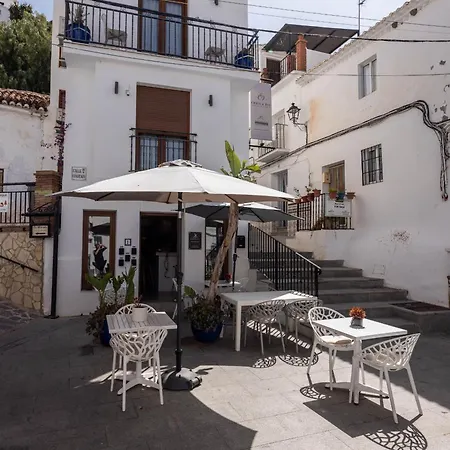 Olive & Ivy Oda ve Kahvaltı 4*
