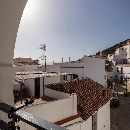 Olive & Ivy Oda ve Kahvaltı 4*